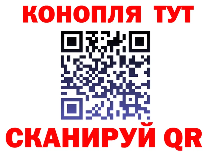 АМФ Premium tor площадка блэк спрут Купино